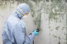 Best Residential Mold Inspection & Testing  in Corralitos, CA